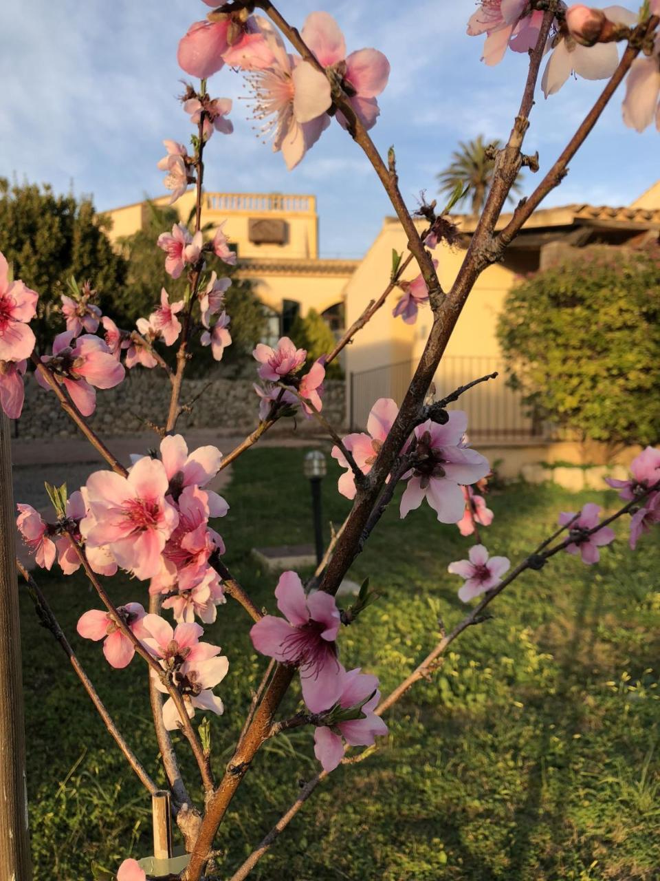 Finca Son Manera Montuiri  Luaran gambar
